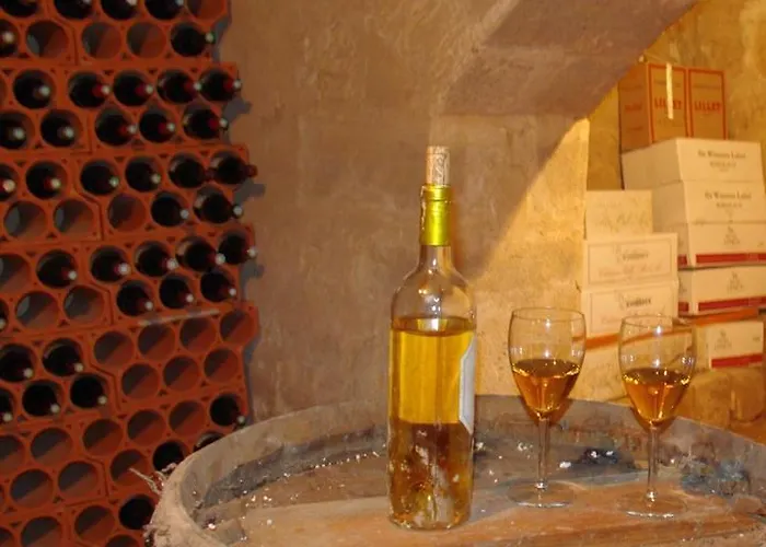 Le Port De Barsac 招待所 2*